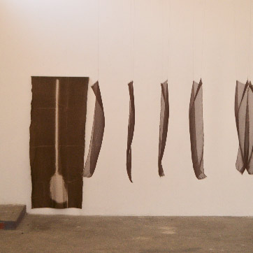 A exhibition space with hanging sheer panels with imagery on each.